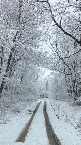 A2004B89-D289-47E6-BE42-832D57FD46BB