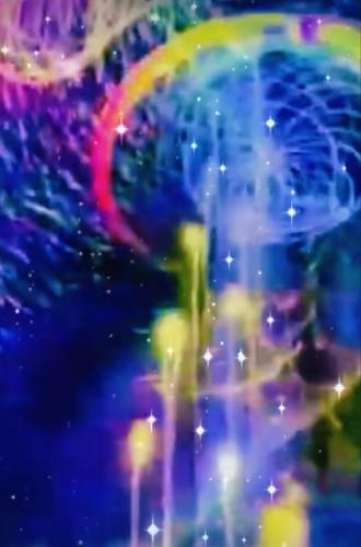 ,                          ,