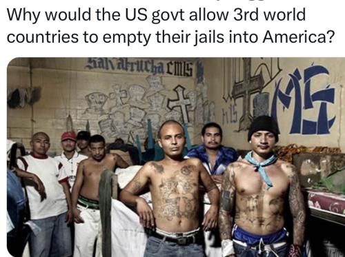 25E6F8E5-2A42-465F-BEE0-69DB66F1E659