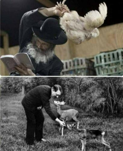 Hitler vs Jew with Chicken