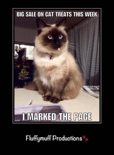 9b4ecaf5dc18b8f690fdde3e76d93827