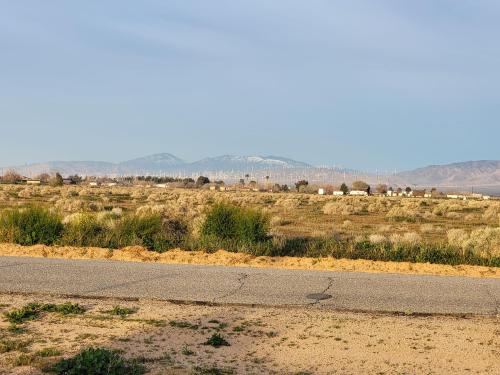 431262555_1305974400099361_182712947442362453_n