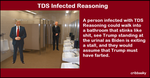 tds_fart_reasoning