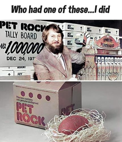 pet rock