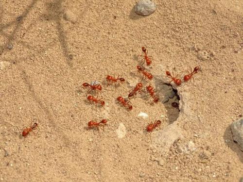 17:51:07 GMT-0500 (CDT)