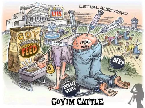 GOYIM-cattle-property