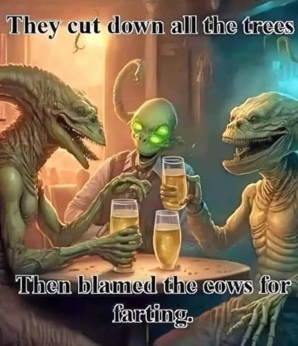 FB_IMG_1709479629267