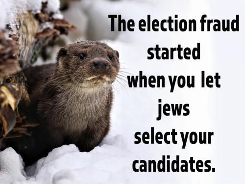 Election fraud started with Jews selecting candidates
