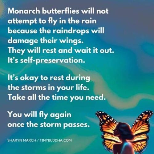 429823716_1143012246856789_2974737799993589589_n