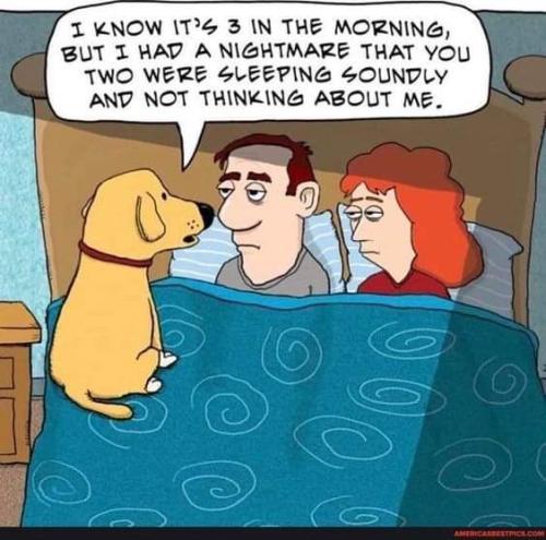 FB_IMG_1711226943805