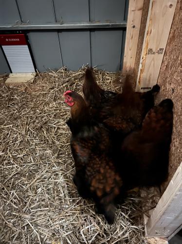 596503C3-2FA6-44FF-97AD-FC93C4F01119