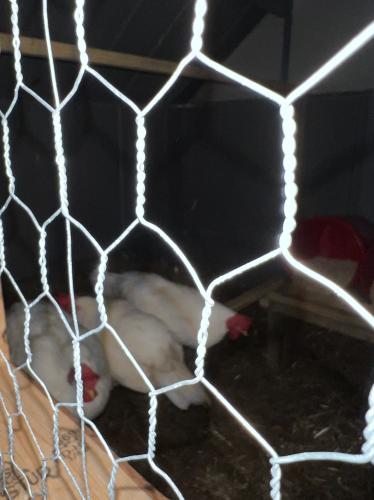 7C4262BE-BA89-4A7B-80C3-37739869596D