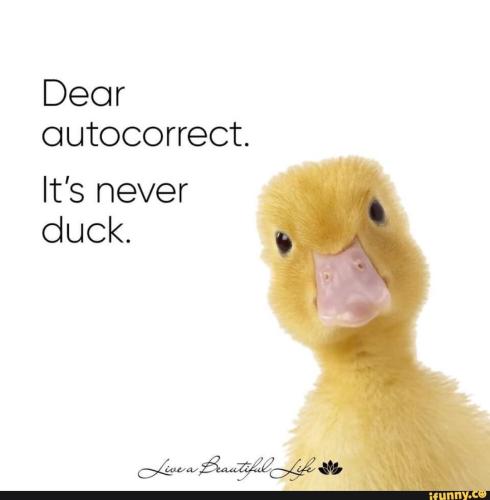 1515cf3024ae0d3839eed39bc9bce7e6