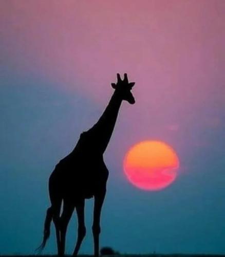 19:16:36 GMT-0500 (CDT)