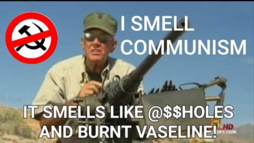 Screenshot_20240303_041653_Photo Editor