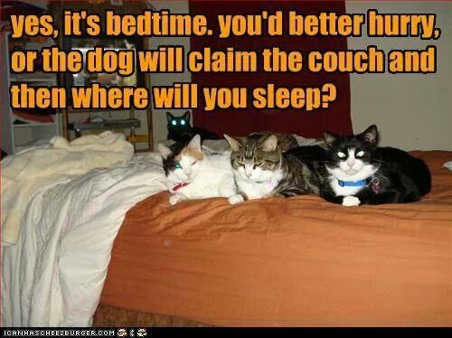 858d6b97a23aec75338bf21b00ee8d43 (1)