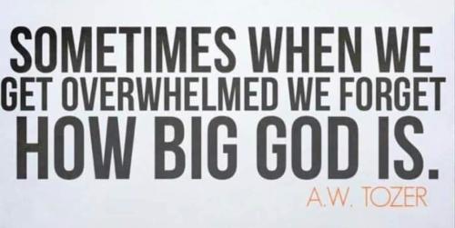 cc6099e7-1753-4a3a-8314-8fc71e24f4d8