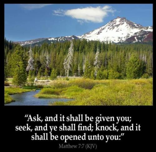 bf431237-7c57-4609-a94d-c826adceb1fd