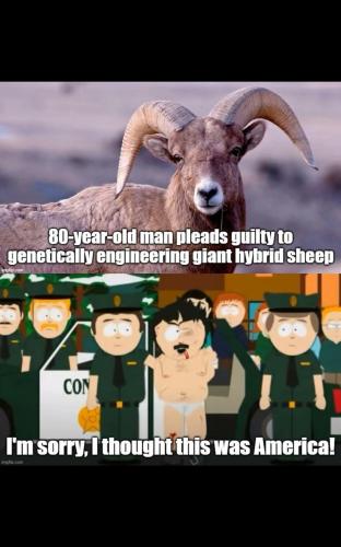 Screenshot_20240317_184245_X