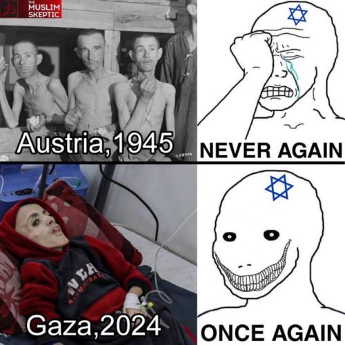 GJoM4E1bEAAs2O0