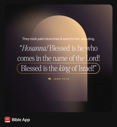 FAITH - John 12.13 NASB