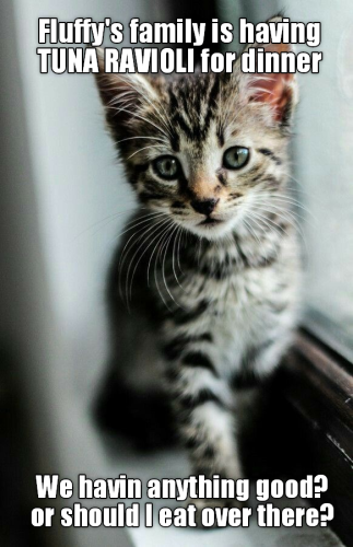 1d0cfaaaeac7491e967cc5b7046b1374