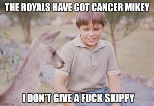 420798762_381963964650301_2717967620495079077_n