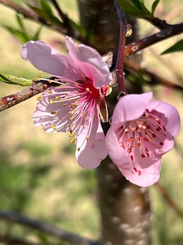 25D34961-0A78-42FC-B8C3-34F25DD6882E