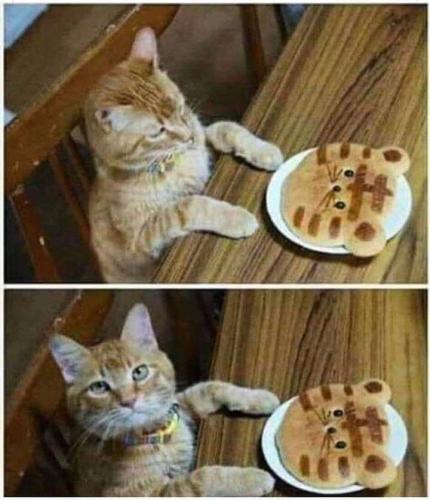 IMG_20240309_091553_047