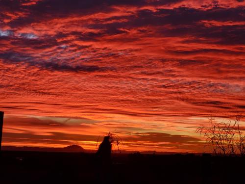 ee3483cc-0a67-4642-a0ba-4839336a4eeb