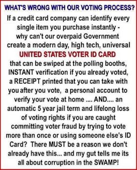voter id13