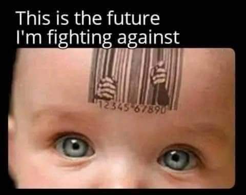 FB_IMG_1710709193772