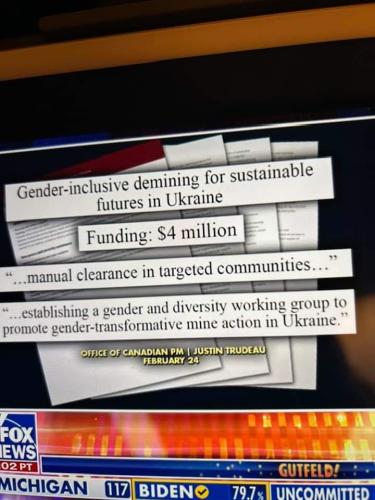 gender inclusion