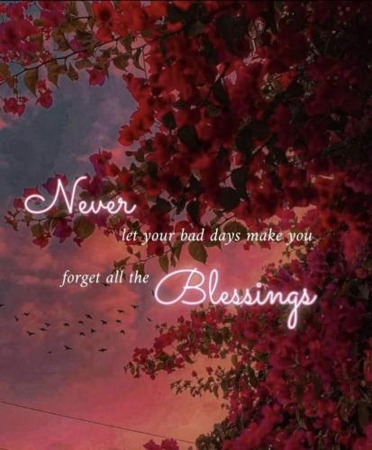 7188cf64-89cc-4a46-afea-7062ee7d03db