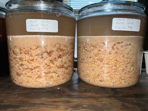 2474C834-296B-4EBF-AC89-8BFDD1E033C4