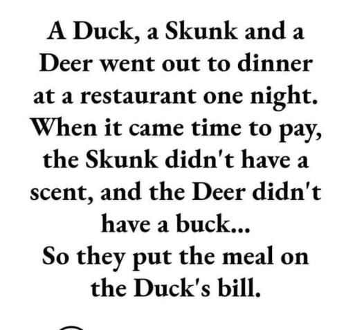 FB_IMG_1711297987504