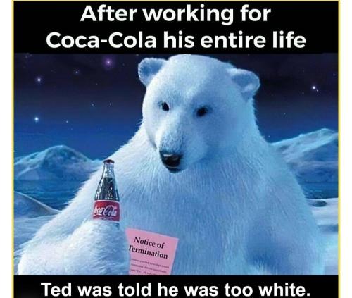 Coca Cola bear white