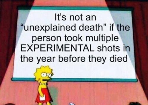 IMG_20240315_055310_465