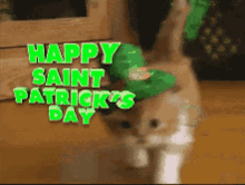 happy-saint-patricks-day-cat