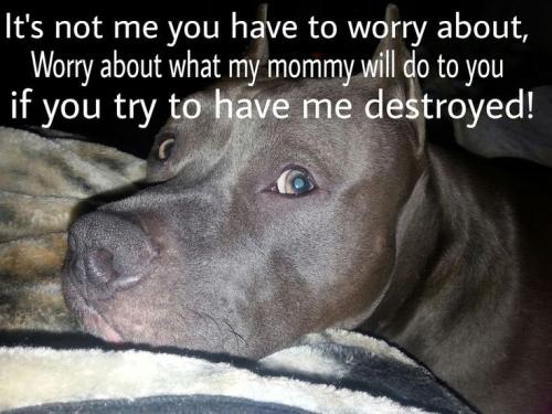 9353eda02f5932b42172abc93417cae1