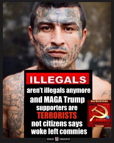 Illegals 2