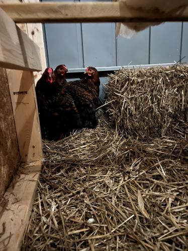 DF1097C0-B698-4990-978F-B29A8ACACED7