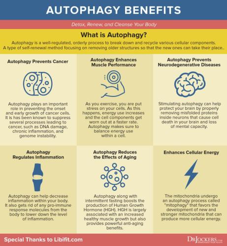Top health benefits of autophagy