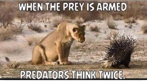 Screenshot_20240303_022527_Facebook