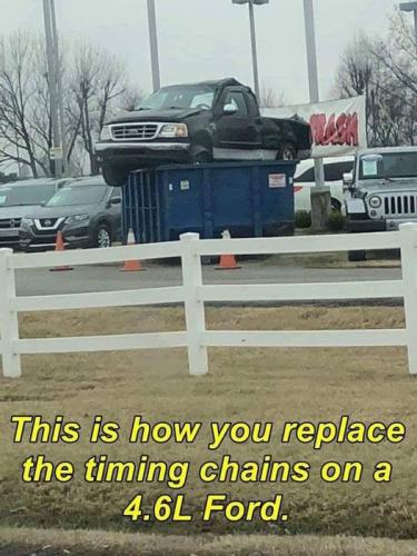 replace the timing chain