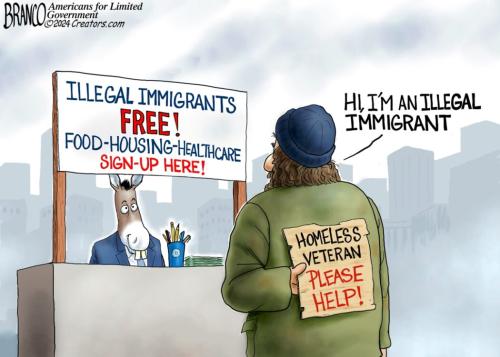 01-illegal-vet-dt-1080-1050x750