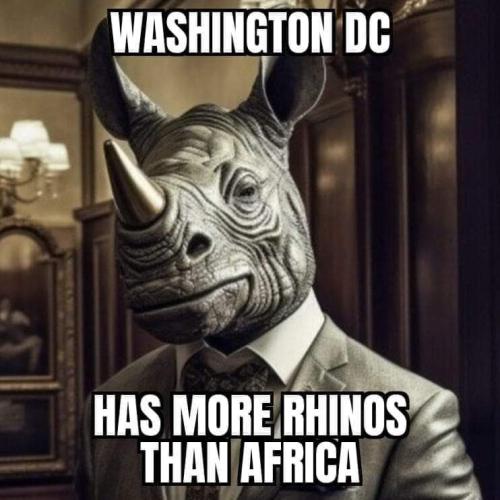 FB_IMG_1710111613676