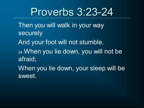 Proverbs 3_23-24