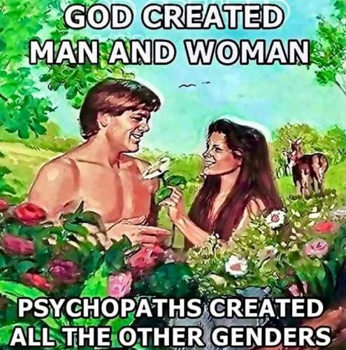 FB_IMG_1711559904006