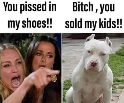 FB_IMG_1709803034663